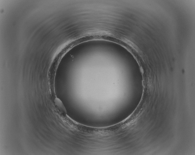 X0000074941022200609081345