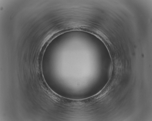 X0000074941023200609081345