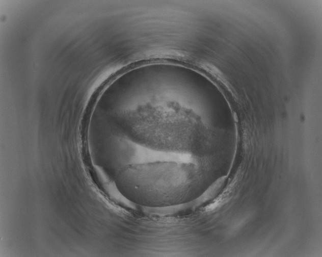 X0000074941024200609081345