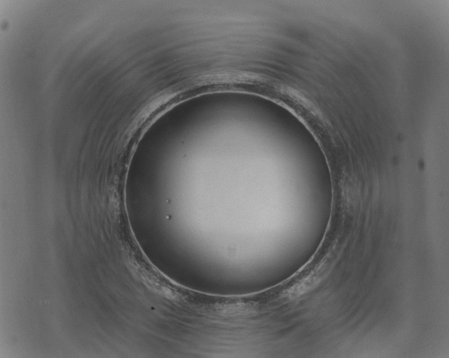 X0000074941025200609081345