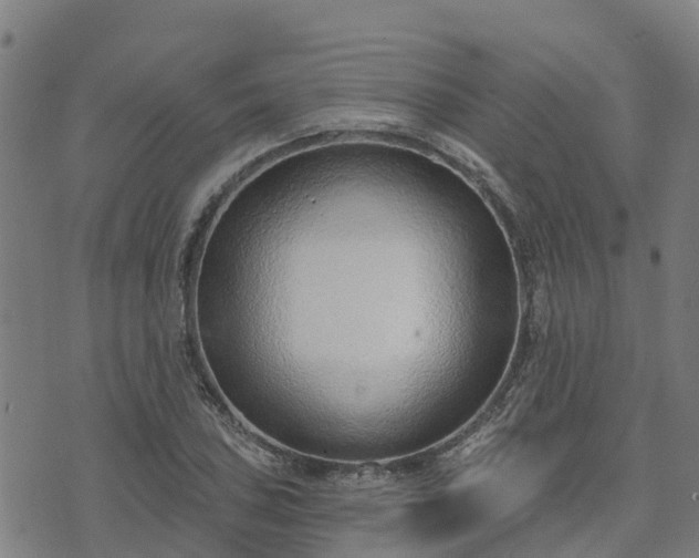 X0000074941027200609081346