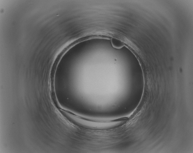 X0000074941028200609081346