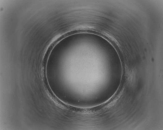 X0000074941029200609081346