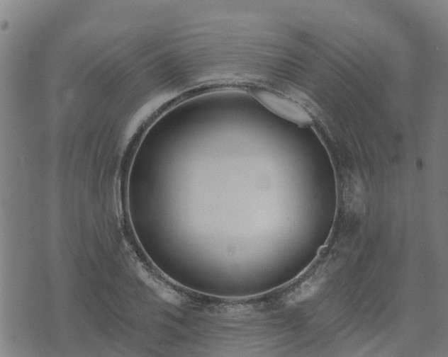 X0000074941030200609081346