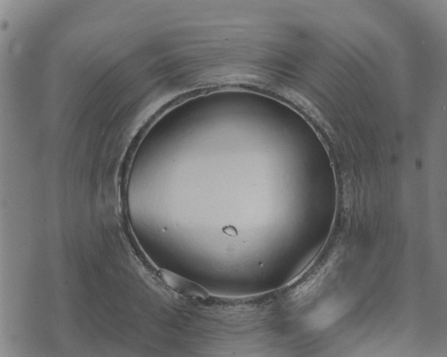 X0000074941031200609081346