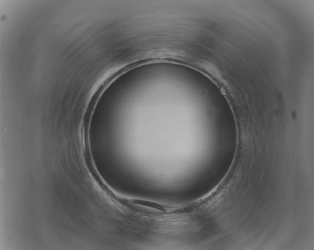 X0000074941032200609081346