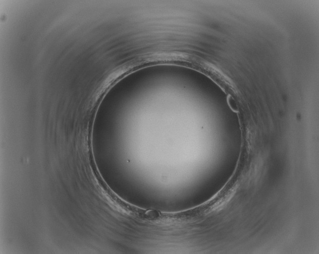 X0000074941033200609081346