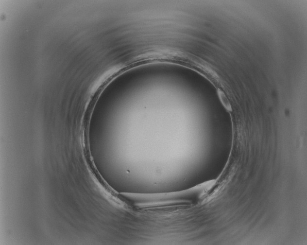 X0000074941034200609081346