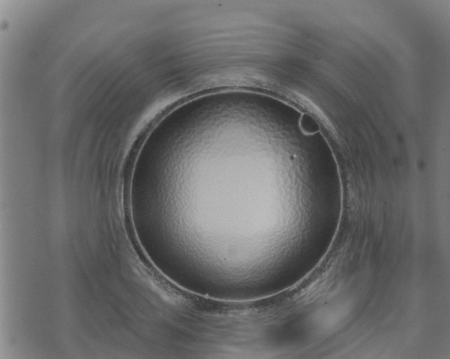 X0000074941035200609081346