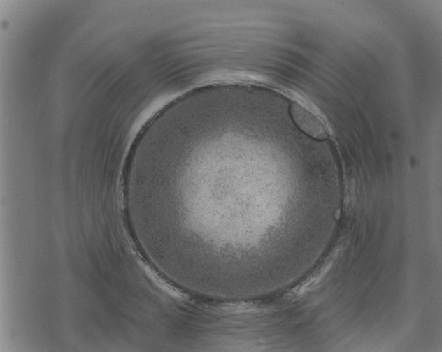 X0000074941037200609081346