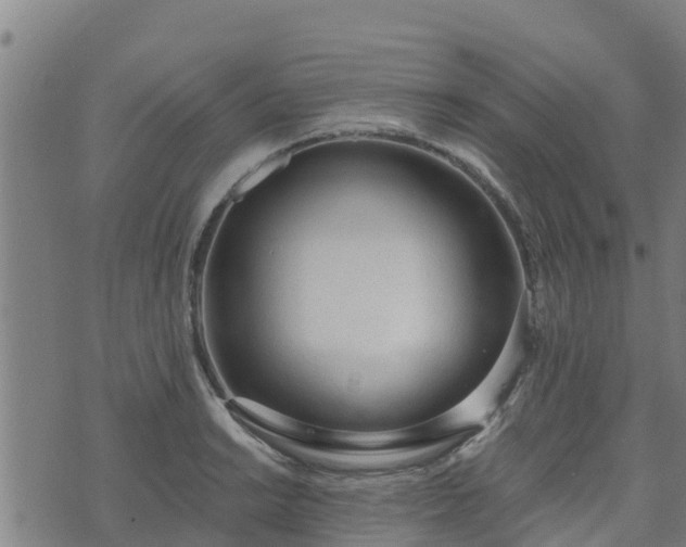 X0000074941038200609081346