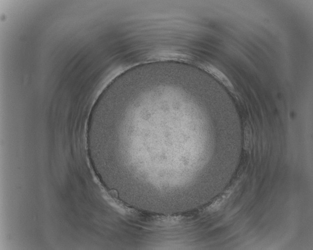 X0000074941039200609081346