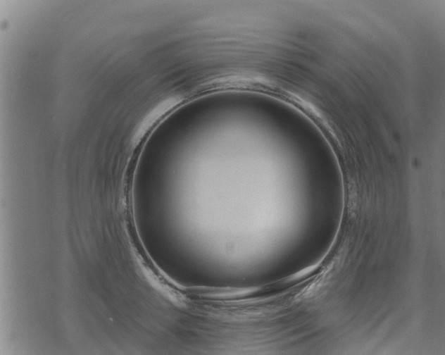 X0000074941042200609081346