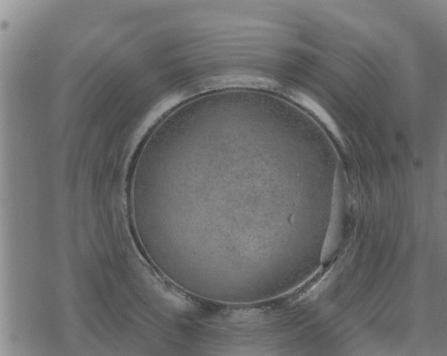 X0000074941043200609081346