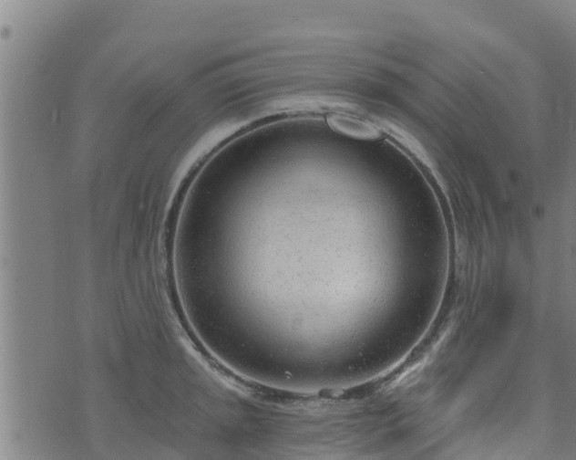 X0000074941045200609081346