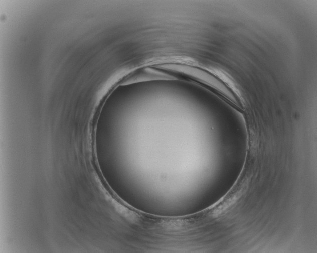 X0000074941046200609081346