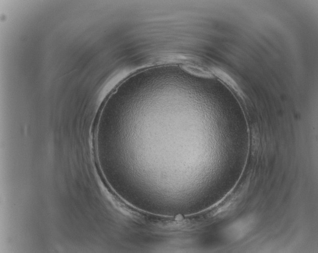 X0000074941047200609081346