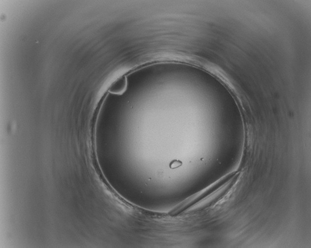 X0000074941048200609081346