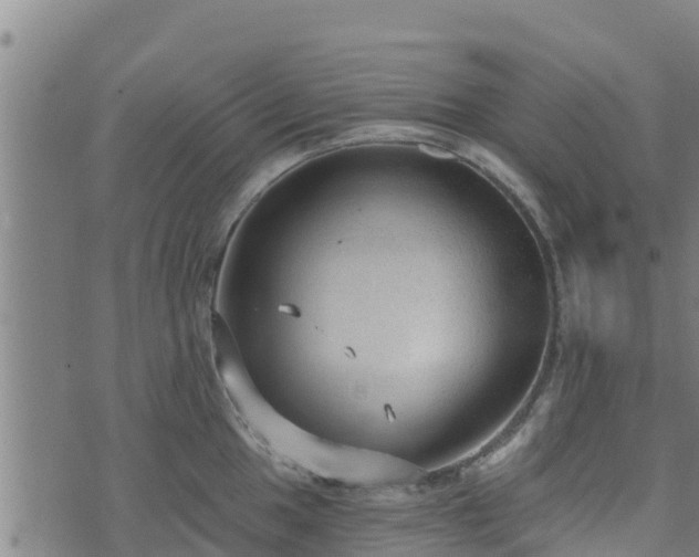 X0000074941049200609081346