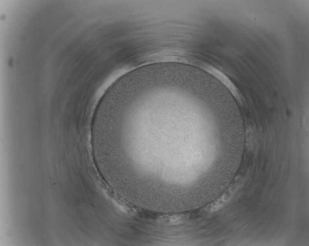 X0000074941051200609081346