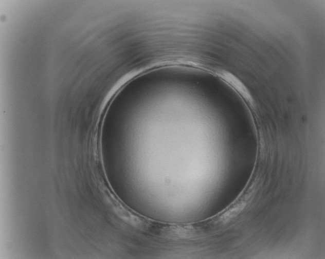 X0000074941052200609081346