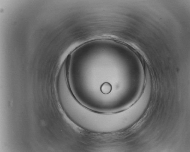 X0000074941054200609081346