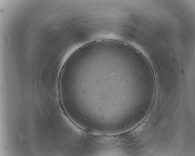 X0000074941056200609081346