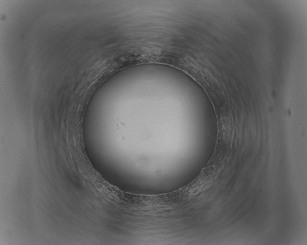 X0000074941057200609081345