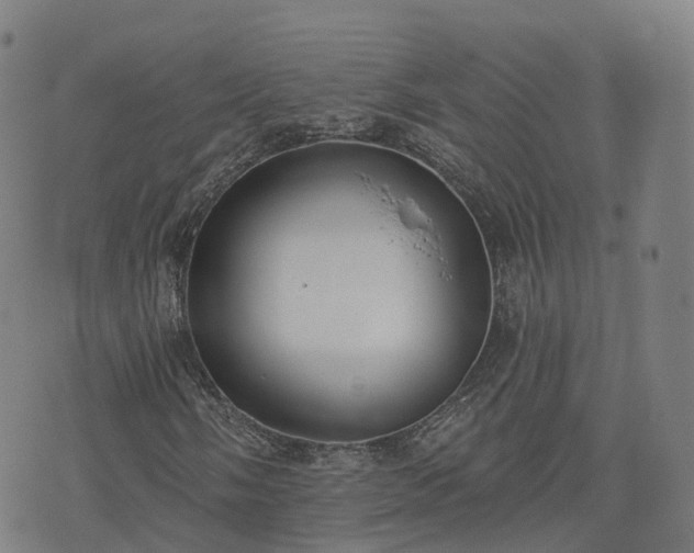 X0000074941058200609081345