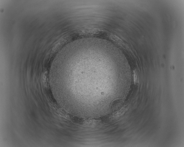 X0000074941059200609081345