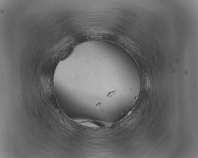 X0000074941060200609081345