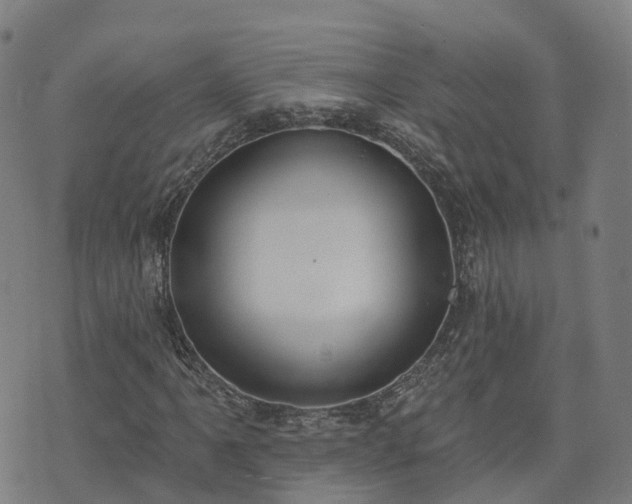 X0000074941061200609081345