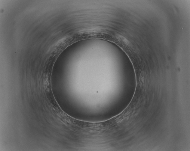 X0000074941062200609081345