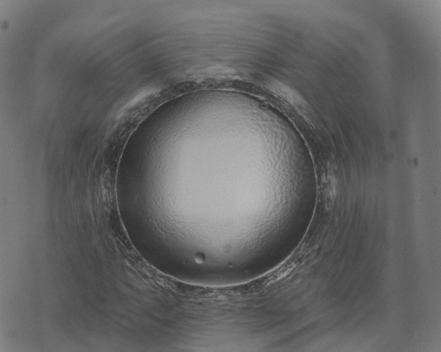 X0000074941063200609081345