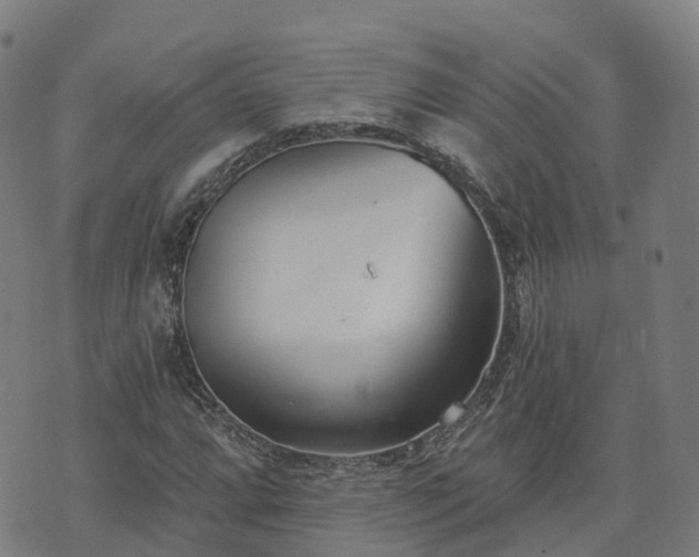 X0000074941064200609081345