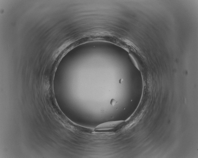 X0000074941065200609081345