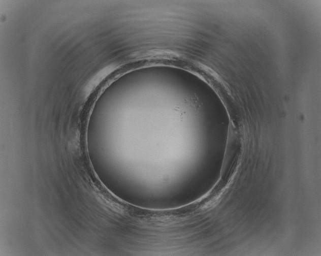 X0000074941066200609081345