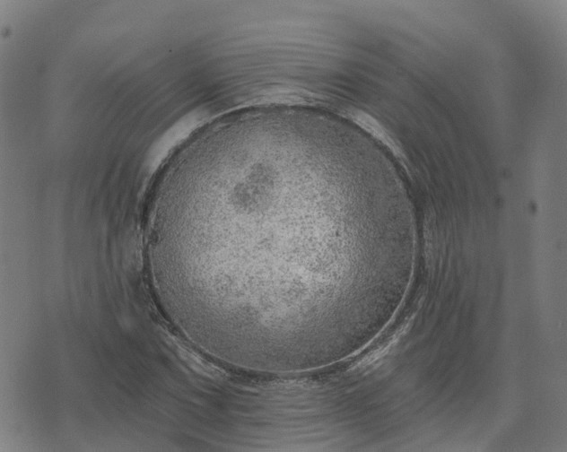 X0000074941067200609081345