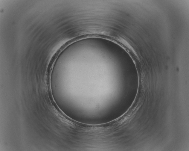 X0000074941068200609081345