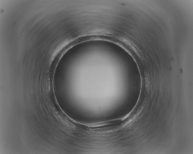 X0000074941069200609081345