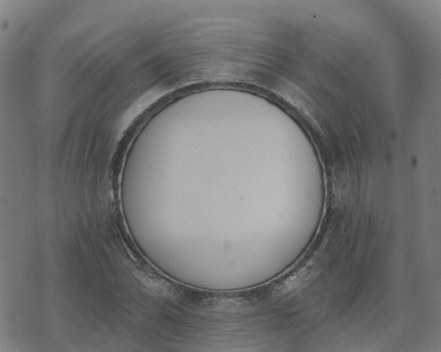 X0000074941070200609081345