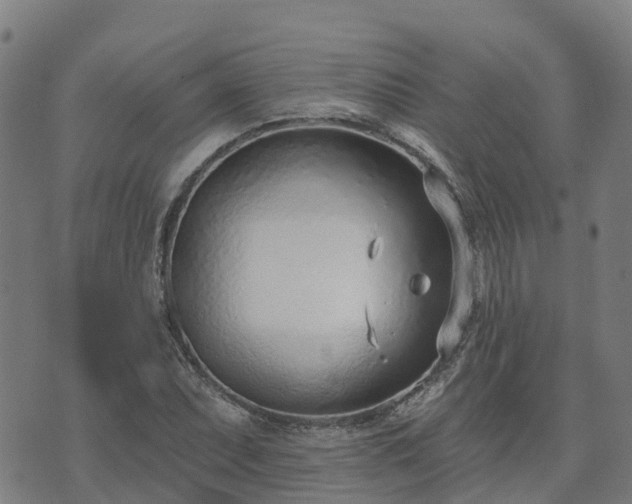 X0000074941071200609081345