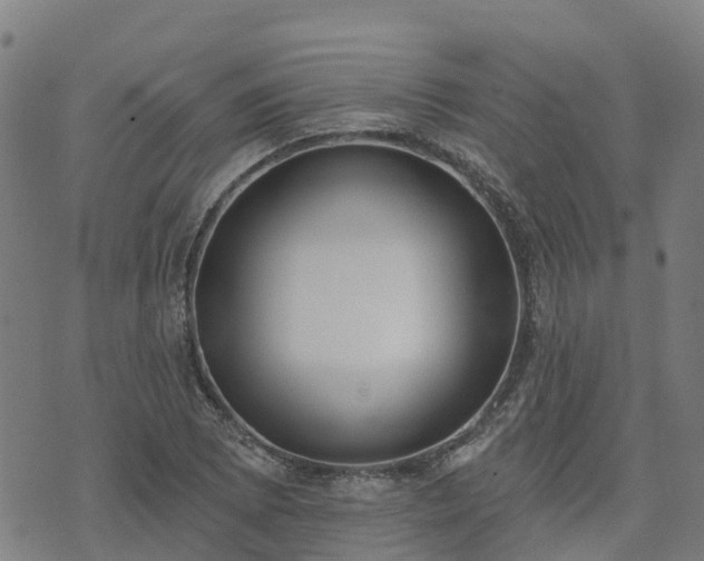 X0000074941073200609081345