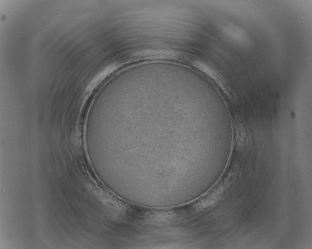 X0000074941074200609081345