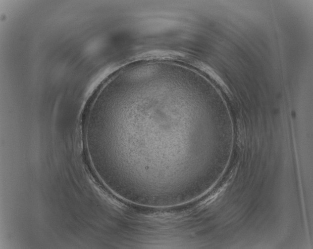 X0000074941075200609081345