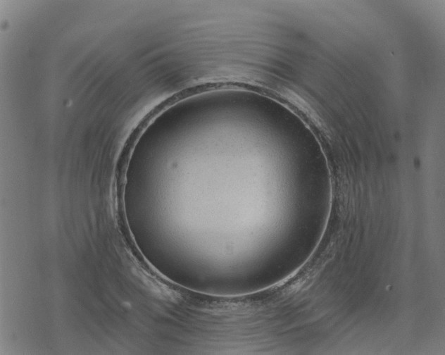 X0000074941076200609081345