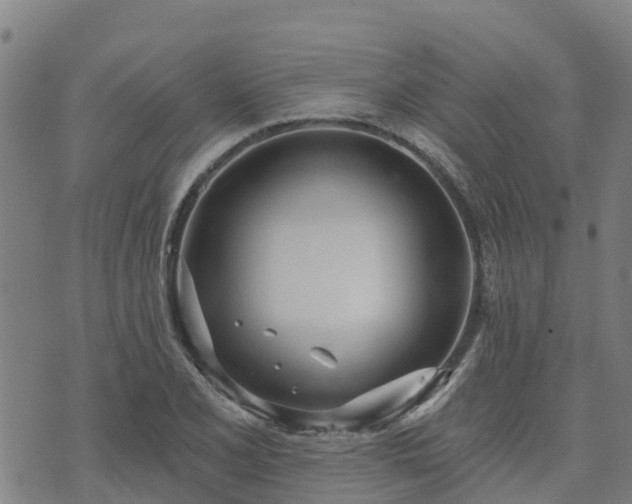 X0000074941077200609081345