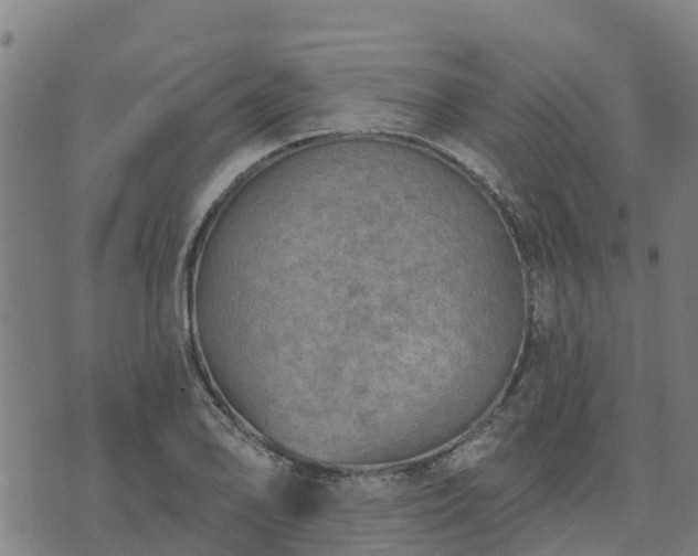 X0000074941078200609081345