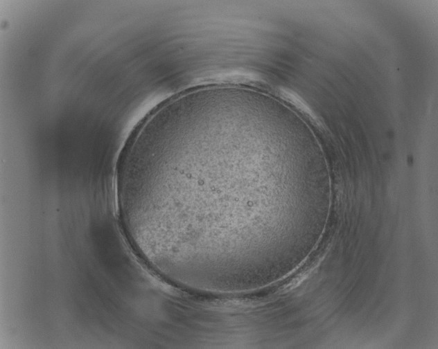 X0000074941079200609081345