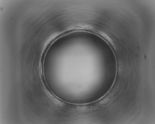 X0000074941080200609081345